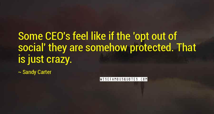 Sandy Carter Quotes: Some CEO's feel like if the 'opt out of social' they are somehow protected. That is just crazy.