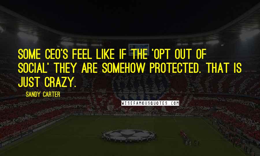 Sandy Carter Quotes: Some CEO's feel like if the 'opt out of social' they are somehow protected. That is just crazy.