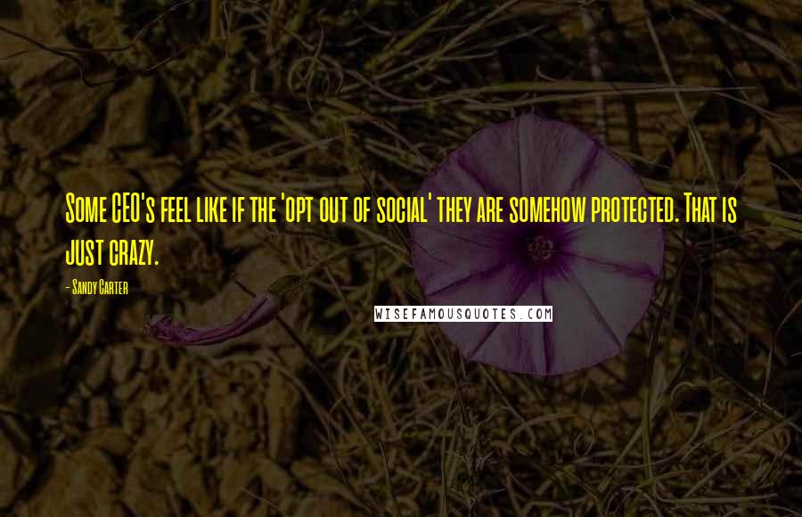 Sandy Carter Quotes: Some CEO's feel like if the 'opt out of social' they are somehow protected. That is just crazy.
