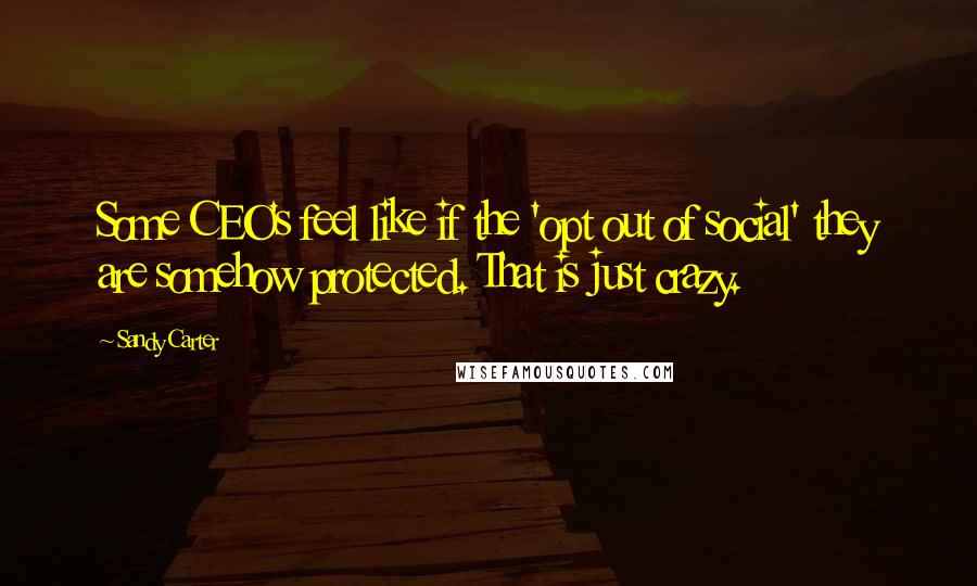 Sandy Carter Quotes: Some CEO's feel like if the 'opt out of social' they are somehow protected. That is just crazy.