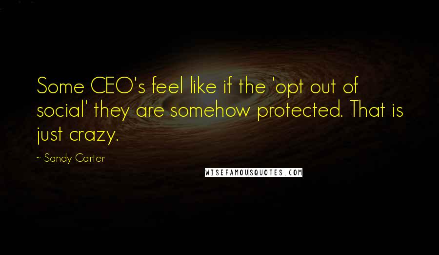 Sandy Carter Quotes: Some CEO's feel like if the 'opt out of social' they are somehow protected. That is just crazy.