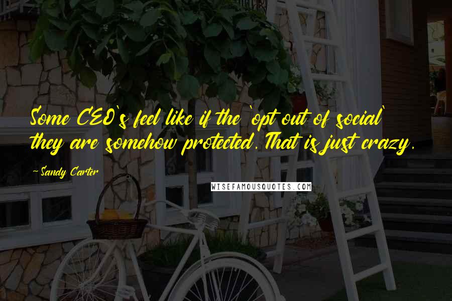 Sandy Carter Quotes: Some CEO's feel like if the 'opt out of social' they are somehow protected. That is just crazy.