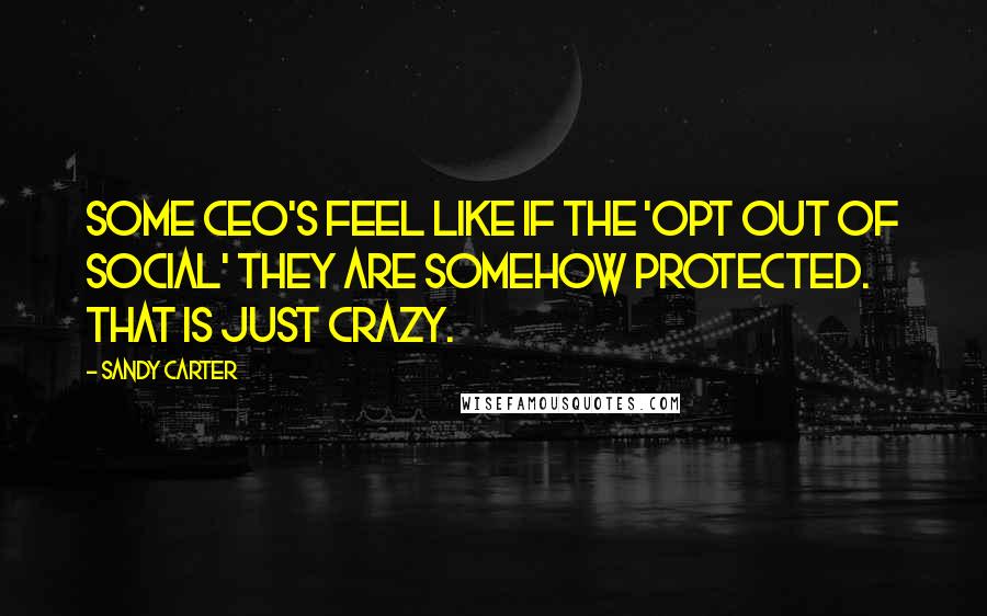 Sandy Carter Quotes: Some CEO's feel like if the 'opt out of social' they are somehow protected. That is just crazy.