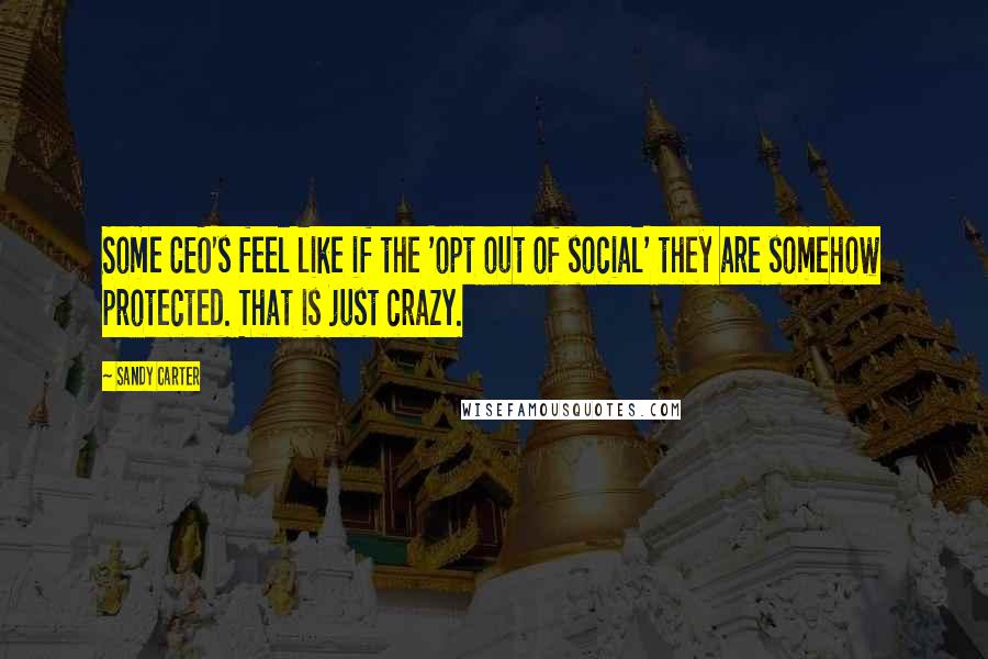 Sandy Carter Quotes: Some CEO's feel like if the 'opt out of social' they are somehow protected. That is just crazy.