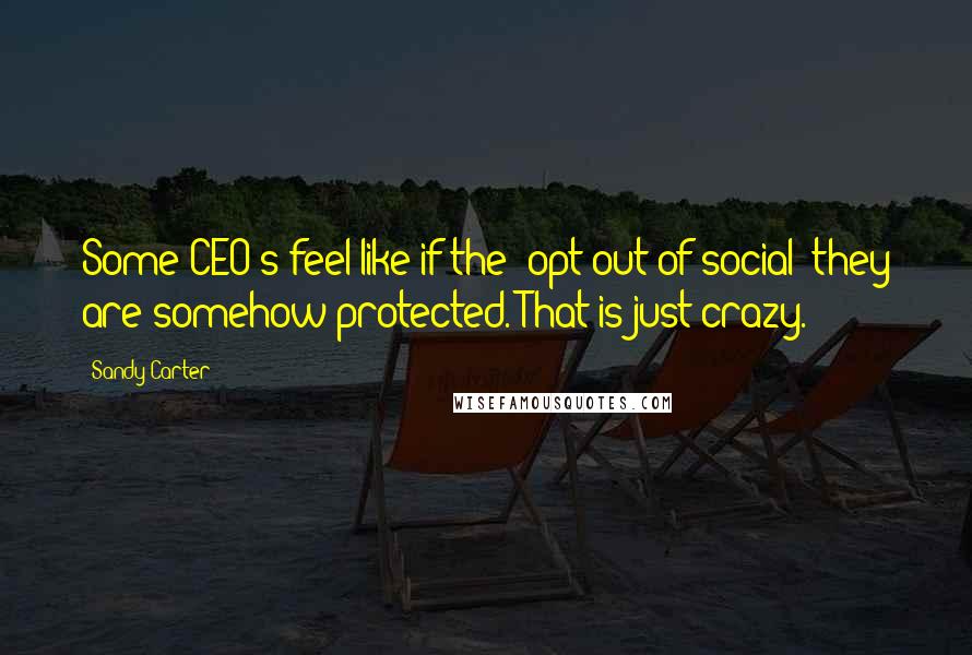 Sandy Carter Quotes: Some CEO's feel like if the 'opt out of social' they are somehow protected. That is just crazy.