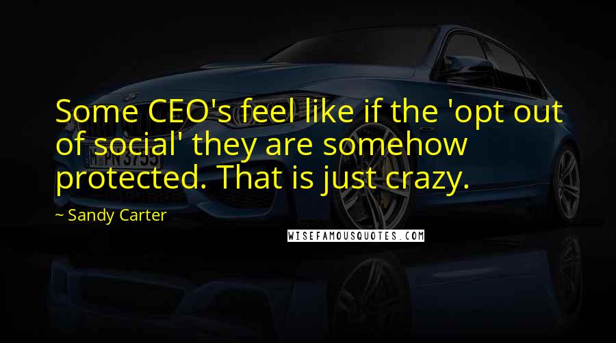 Sandy Carter Quotes: Some CEO's feel like if the 'opt out of social' they are somehow protected. That is just crazy.