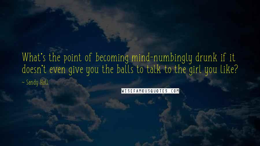 Sandy Hall Quotes: What's the point of becoming mind-numbingly drunk if it doesn't even give you the balls to talk to the girl you like?