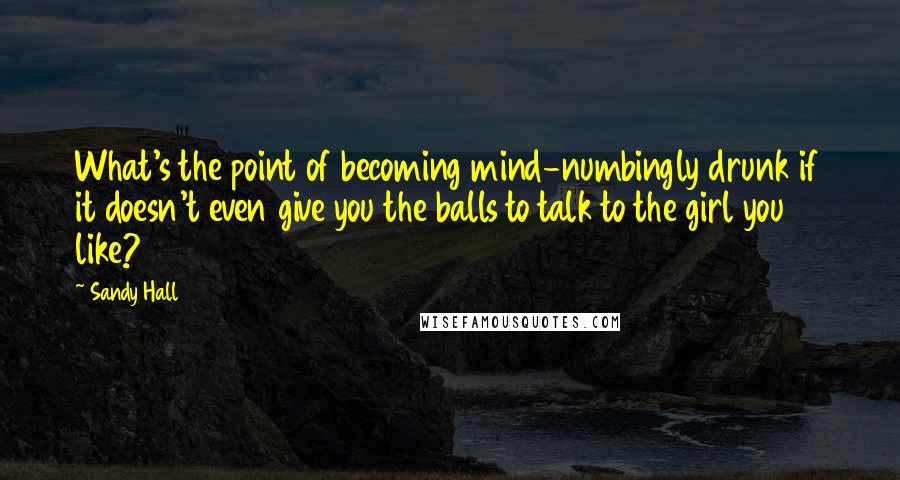 Sandy Hall Quotes: What's the point of becoming mind-numbingly drunk if it doesn't even give you the balls to talk to the girl you like?