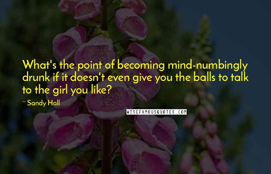 Sandy Hall Quotes: What's the point of becoming mind-numbingly drunk if it doesn't even give you the balls to talk to the girl you like?