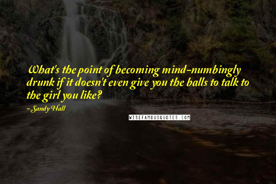 Sandy Hall Quotes: What's the point of becoming mind-numbingly drunk if it doesn't even give you the balls to talk to the girl you like?