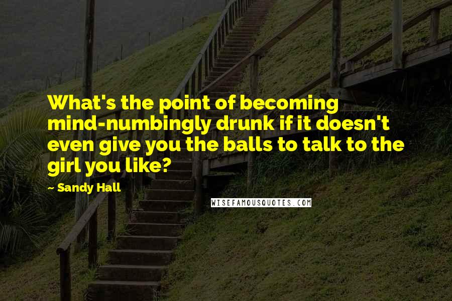 Sandy Hall Quotes: What's the point of becoming mind-numbingly drunk if it doesn't even give you the balls to talk to the girl you like?