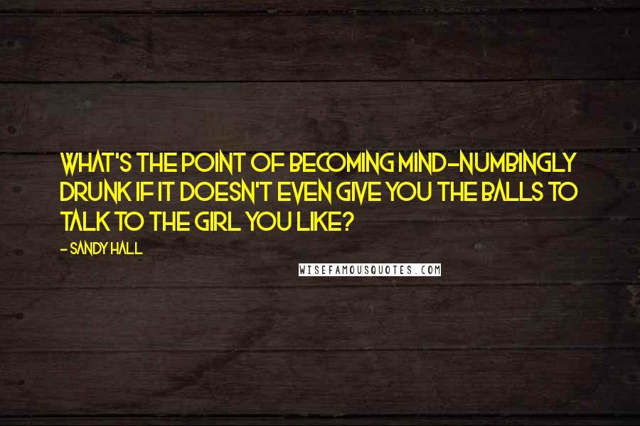 Sandy Hall Quotes: What's the point of becoming mind-numbingly drunk if it doesn't even give you the balls to talk to the girl you like?