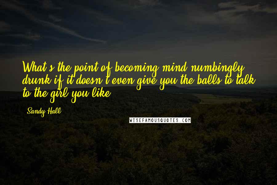 Sandy Hall Quotes: What's the point of becoming mind-numbingly drunk if it doesn't even give you the balls to talk to the girl you like?