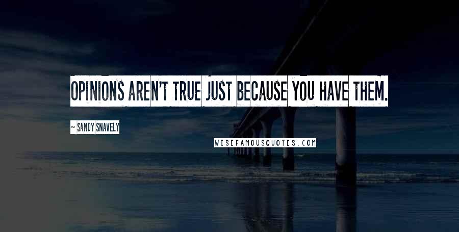 Sandy Snavely Quotes: Opinions aren't true just because you have them.