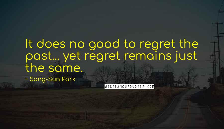 Sang-Sun Park Quotes: It does no good to regret the past... yet regret remains just the same.