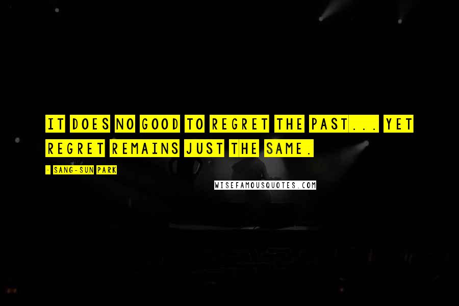 Sang-Sun Park Quotes: It does no good to regret the past... yet regret remains just the same.
