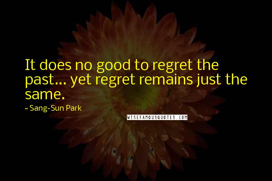 Sang-Sun Park Quotes: It does no good to regret the past... yet regret remains just the same.