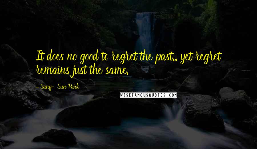 Sang-Sun Park Quotes: It does no good to regret the past... yet regret remains just the same.