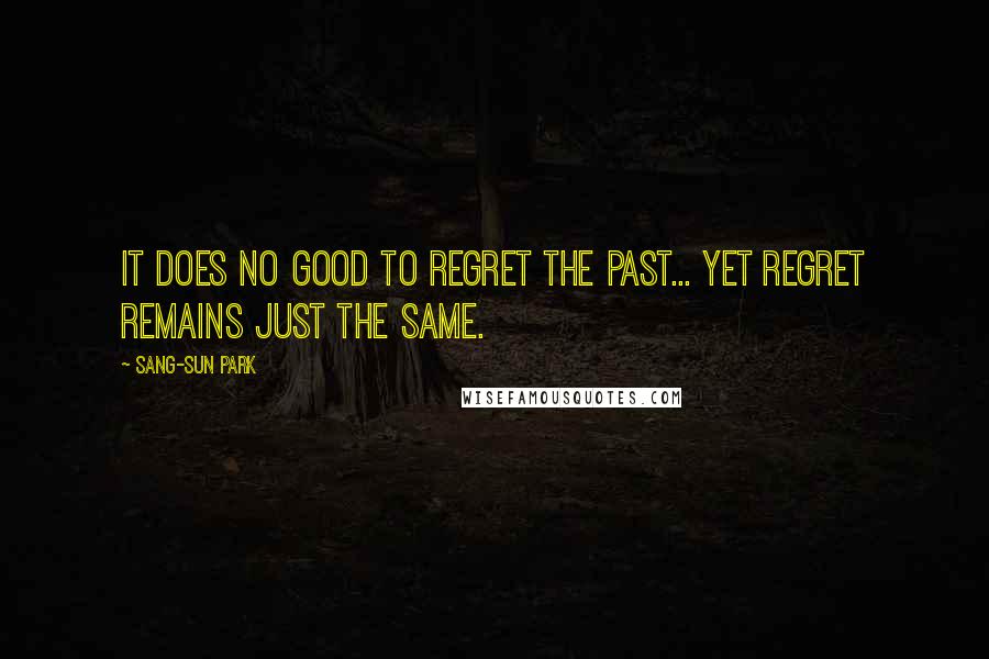Sang-Sun Park Quotes: It does no good to regret the past... yet regret remains just the same.