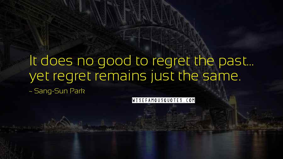 Sang-Sun Park Quotes: It does no good to regret the past... yet regret remains just the same.
