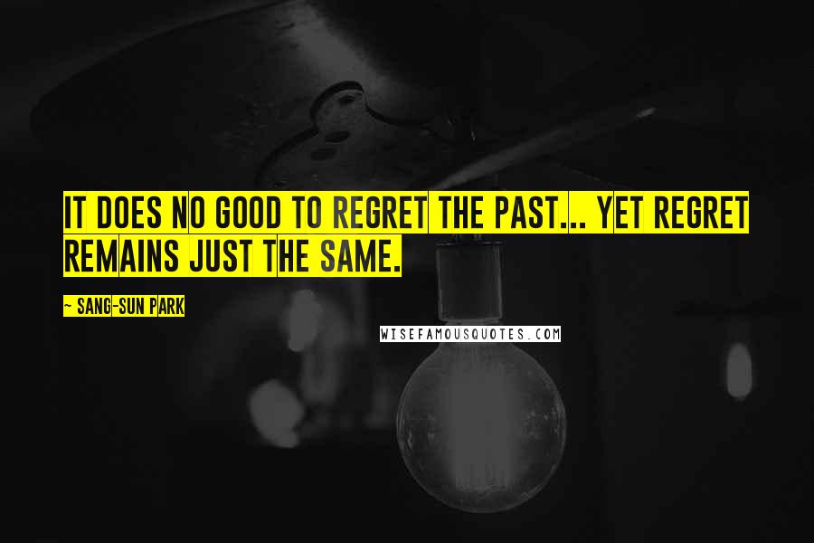 Sang-Sun Park Quotes: It does no good to regret the past... yet regret remains just the same.