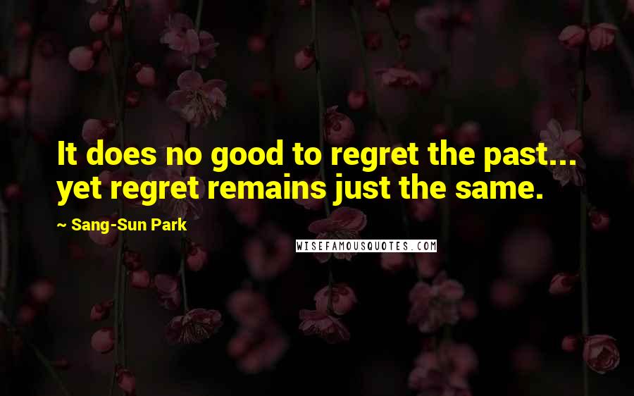 Sang-Sun Park Quotes: It does no good to regret the past... yet regret remains just the same.