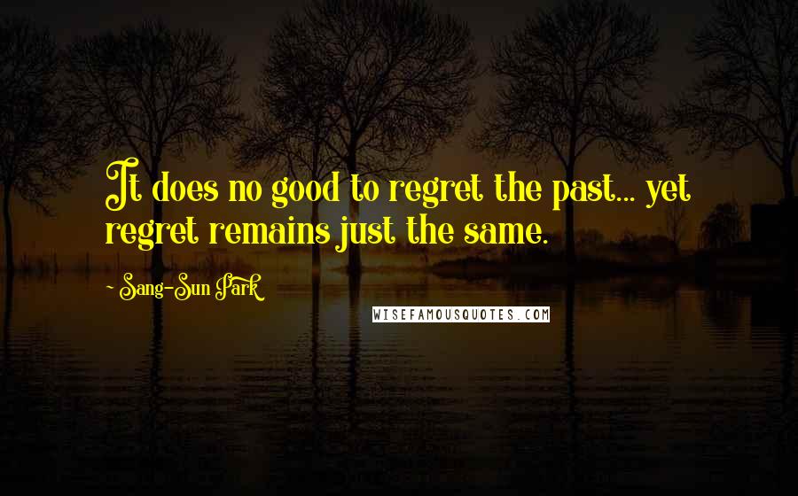 Sang-Sun Park Quotes: It does no good to regret the past... yet regret remains just the same.