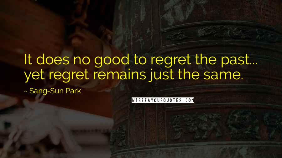 Sang-Sun Park Quotes: It does no good to regret the past... yet regret remains just the same.