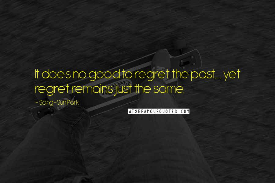 Sang-Sun Park Quotes: It does no good to regret the past... yet regret remains just the same.