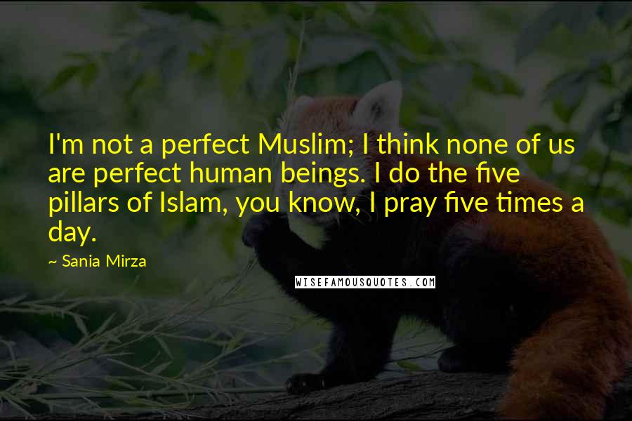 Sania Mirza Quotes: I'm not a perfect Muslim; I think none of us are perfect human beings. I do the five pillars of Islam, you know, I pray five times a day.