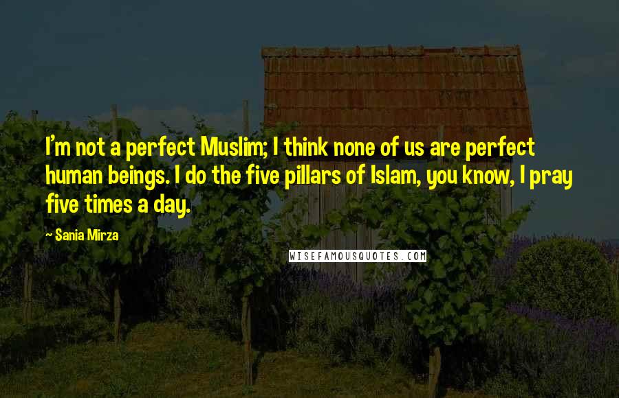 Sania Mirza Quotes: I'm not a perfect Muslim; I think none of us are perfect human beings. I do the five pillars of Islam, you know, I pray five times a day.