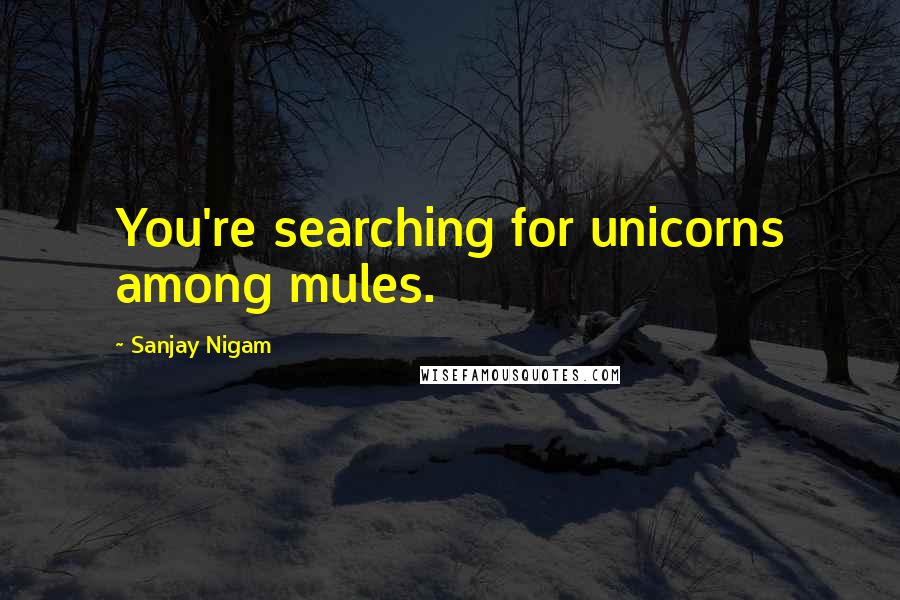Sanjay Nigam Quotes: You're searching for unicorns among mules.