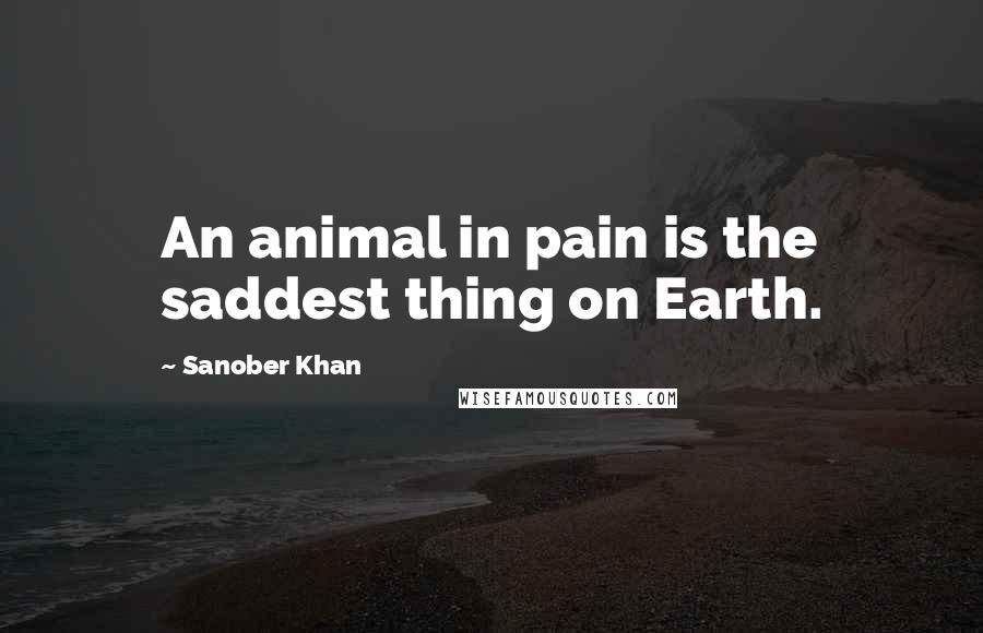 Sanober Khan Quotes: An animal in pain is the saddest thing on Earth.