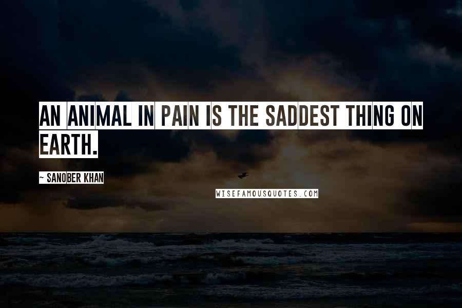 Sanober Khan Quotes: An animal in pain is the saddest thing on Earth.