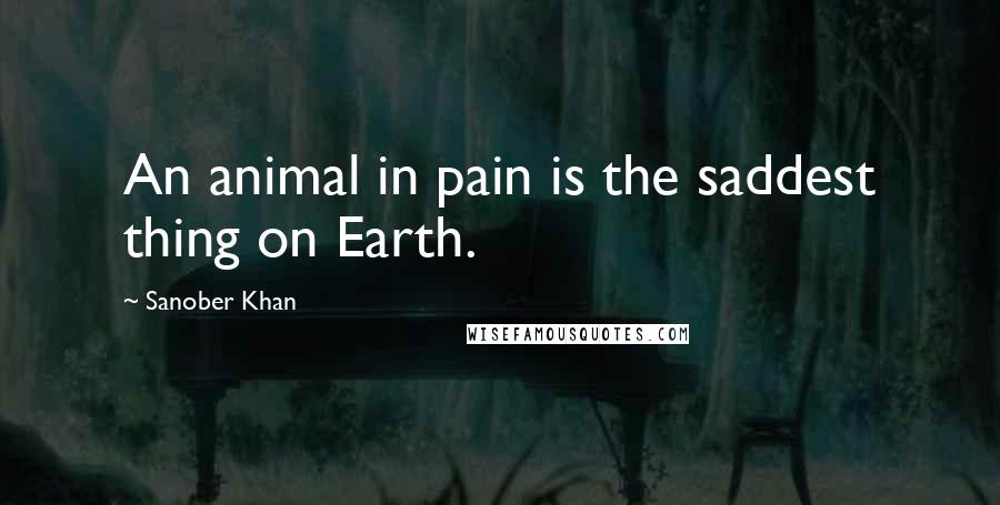 Sanober Khan Quotes: An animal in pain is the saddest thing on Earth.