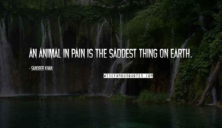 Sanober Khan Quotes: An animal in pain is the saddest thing on Earth.