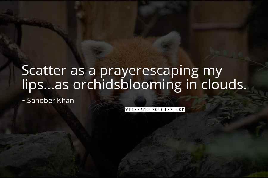 Sanober Khan Quotes: Scatter as a prayerescaping my lips...as orchidsblooming in clouds.