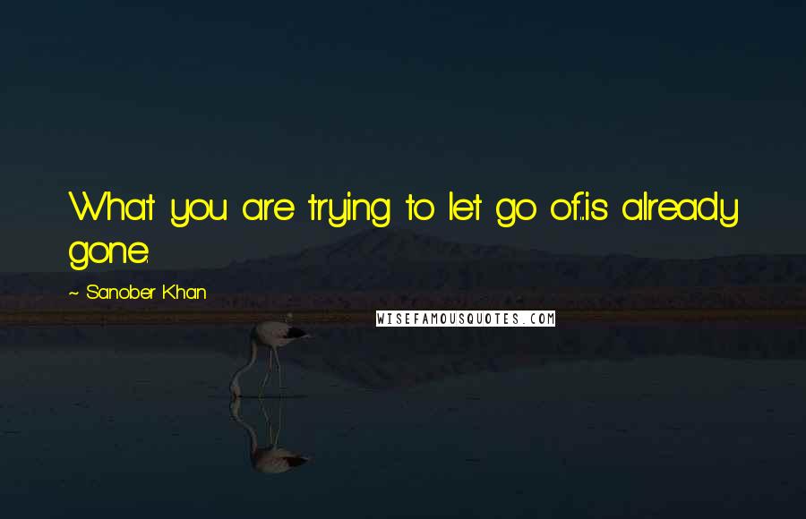 Sanober Khan Quotes: What you are trying to let go of...is already gone.