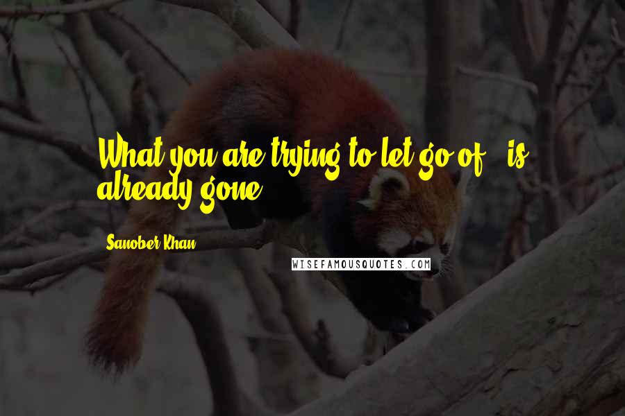 Sanober Khan Quotes: What you are trying to let go of...is already gone.