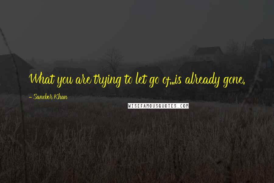 Sanober Khan Quotes: What you are trying to let go of...is already gone.