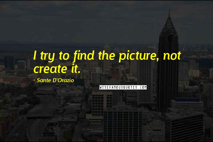 Sante D'Orazio Quotes: I try to find the picture, not create it.