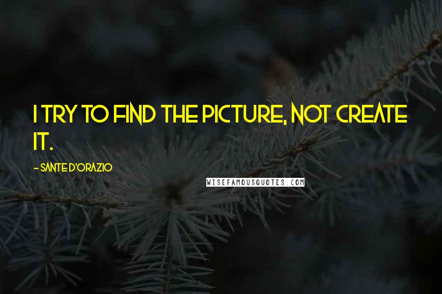 Sante D'Orazio Quotes: I try to find the picture, not create it.