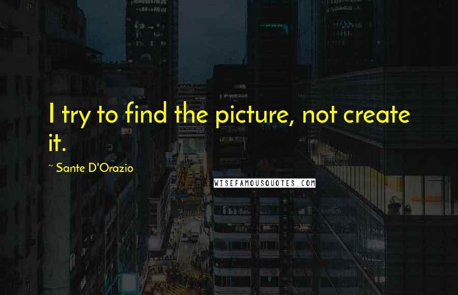 Sante D'Orazio Quotes: I try to find the picture, not create it.