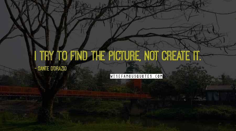 Sante D'Orazio Quotes: I try to find the picture, not create it.