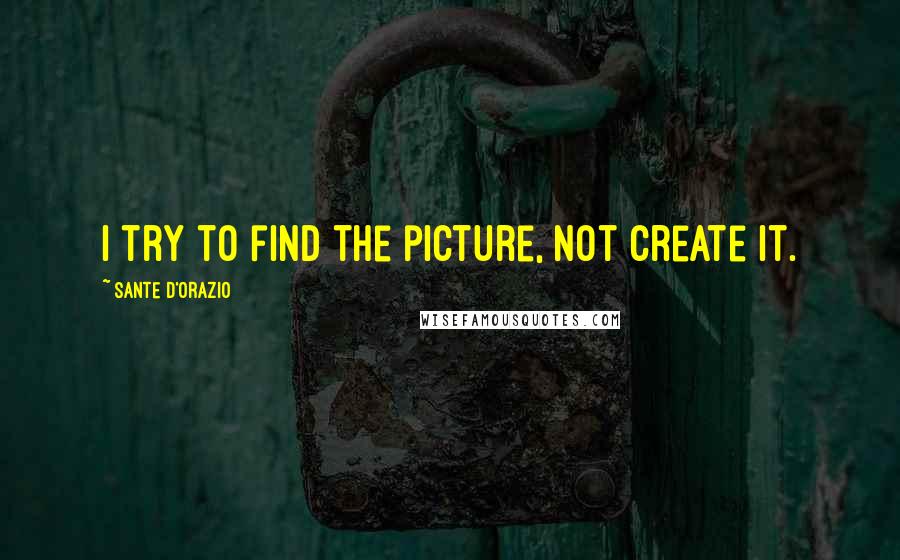 Sante D'Orazio Quotes: I try to find the picture, not create it.