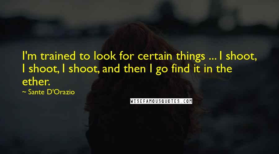 Sante D'Orazio Quotes: I'm trained to look for certain things ... I shoot, I shoot, I shoot, and then I go find it in the ether.