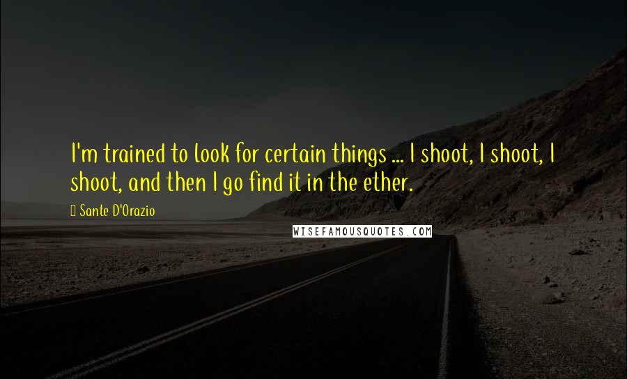 Sante D'Orazio Quotes: I'm trained to look for certain things ... I shoot, I shoot, I shoot, and then I go find it in the ether.
