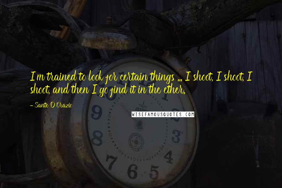 Sante D'Orazio Quotes: I'm trained to look for certain things ... I shoot, I shoot, I shoot, and then I go find it in the ether.
