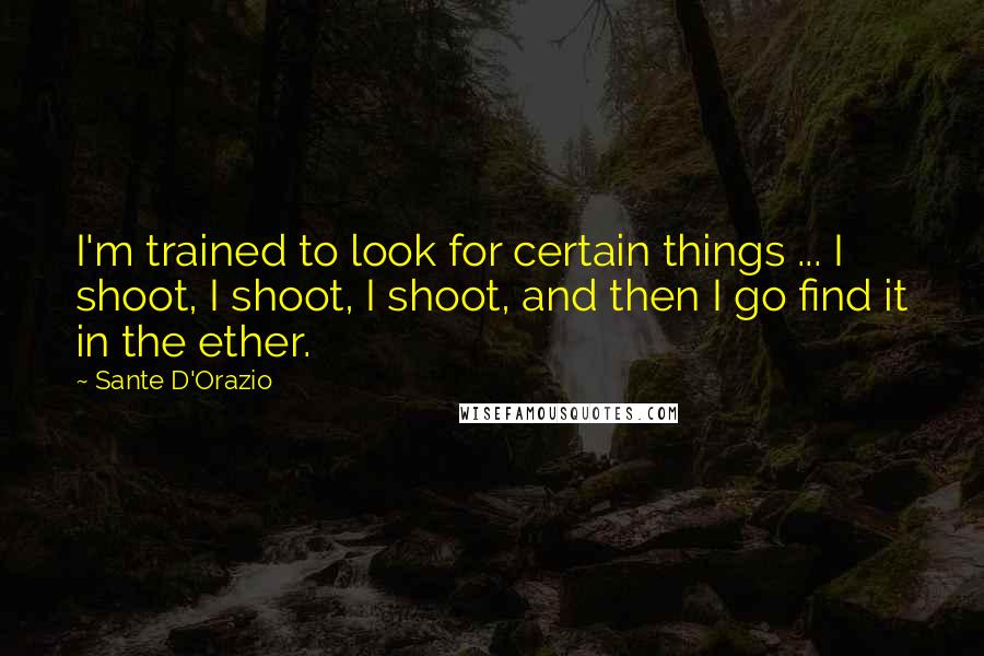 Sante D'Orazio Quotes: I'm trained to look for certain things ... I shoot, I shoot, I shoot, and then I go find it in the ether.