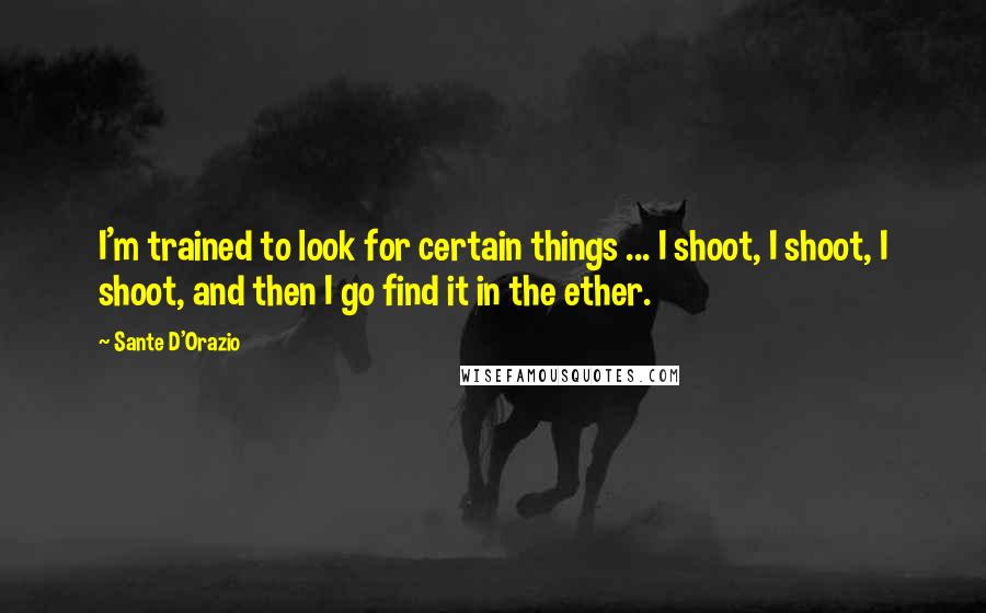 Sante D'Orazio Quotes: I'm trained to look for certain things ... I shoot, I shoot, I shoot, and then I go find it in the ether.